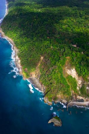 Bosque-del-Cabo