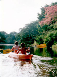 Popo’s Treehouse – Expeditions and Surf Camp 2