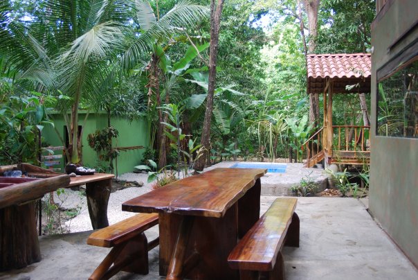 The Jungle House 3