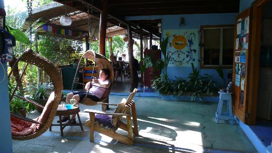 Young Vision Surf School 3