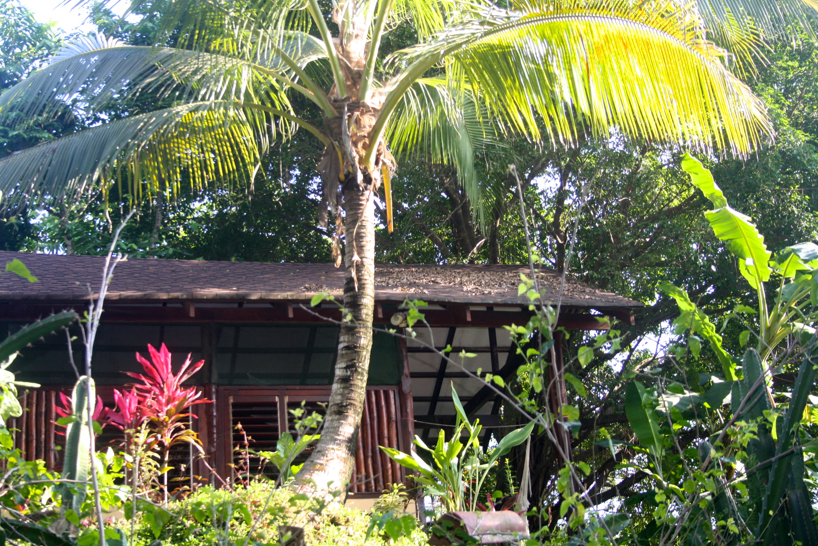 Funky Monkey Lodge 1