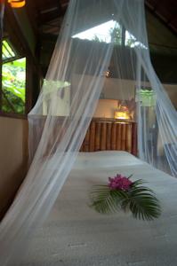Funky Monkey Lodge 2