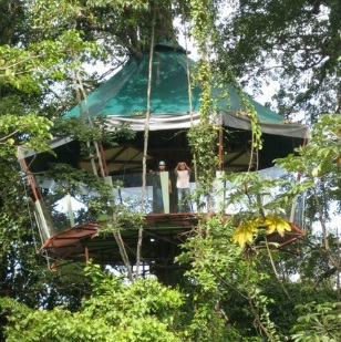 Nature Observatorio