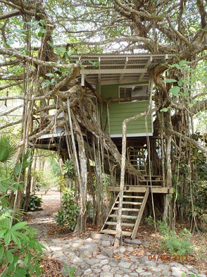 Playa-Selva-Tree-House