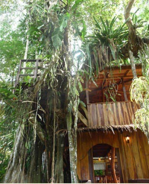 Topo’s-tree-house
