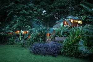 tree-house-lodge