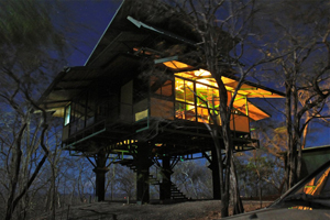 treehouse at night