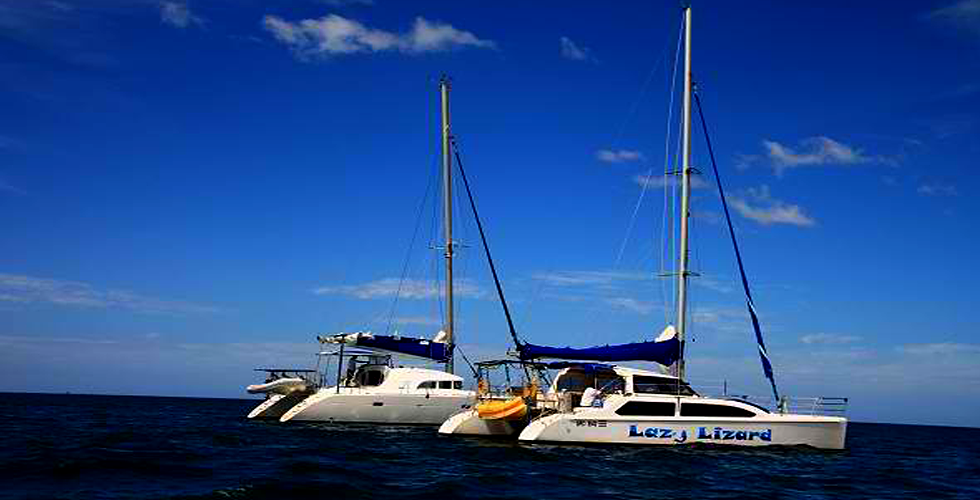Lazy Lizard Sailing 1