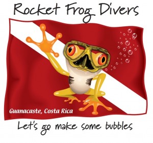 Rocket Frog Divers 3