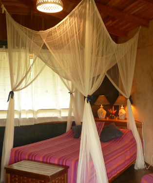Sueno Celeste Bed and Breakfast 2