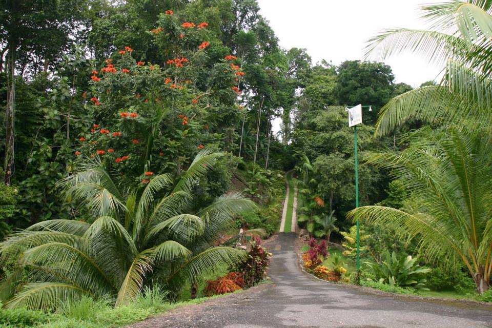 Villas de Oros 1