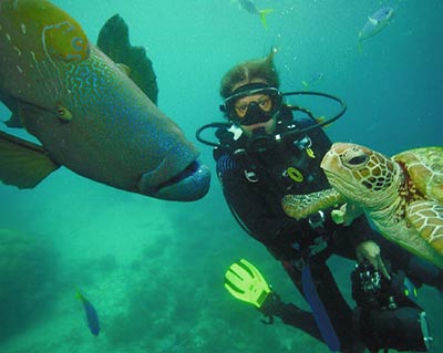 scuba-diving-with-critters-400px
