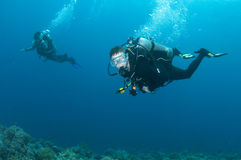 scuba-diving-buddies-enjoy-dive-24425479