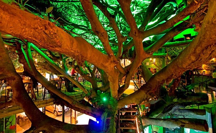 Tree-House-Restaurant