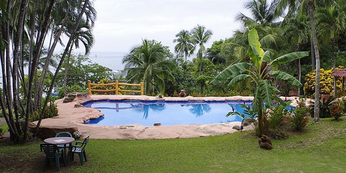 hotel-los-mangos pool area