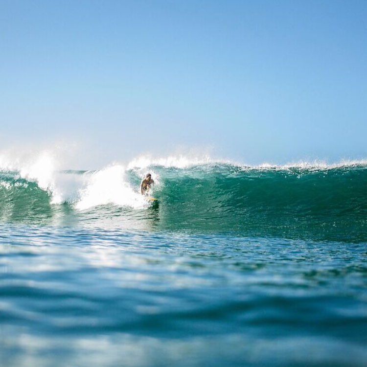 surfing