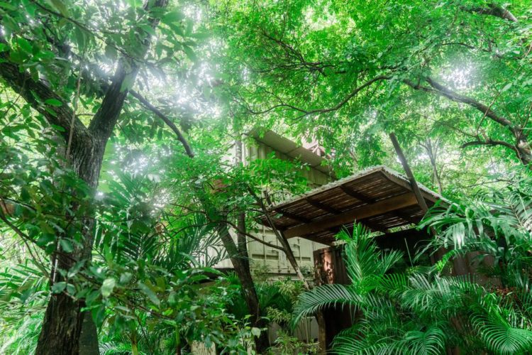 green sanctuary
