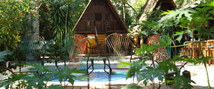 howler monkey hotel