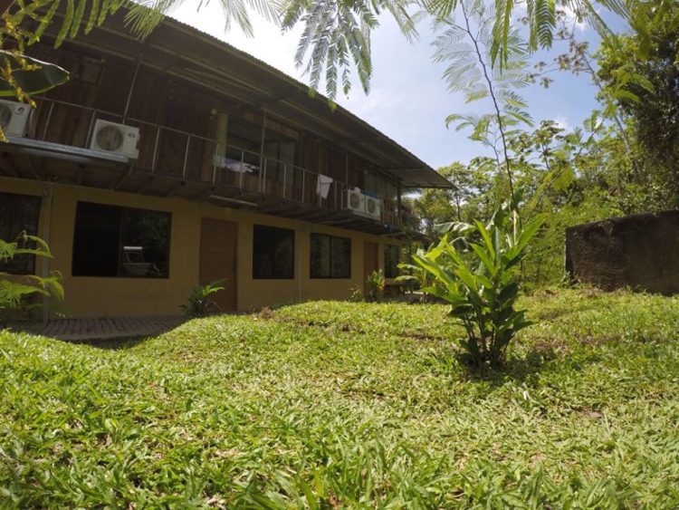 arenal xilopalo