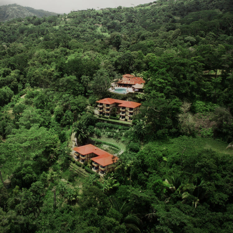 vista ballena