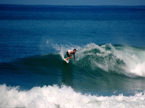 surfing